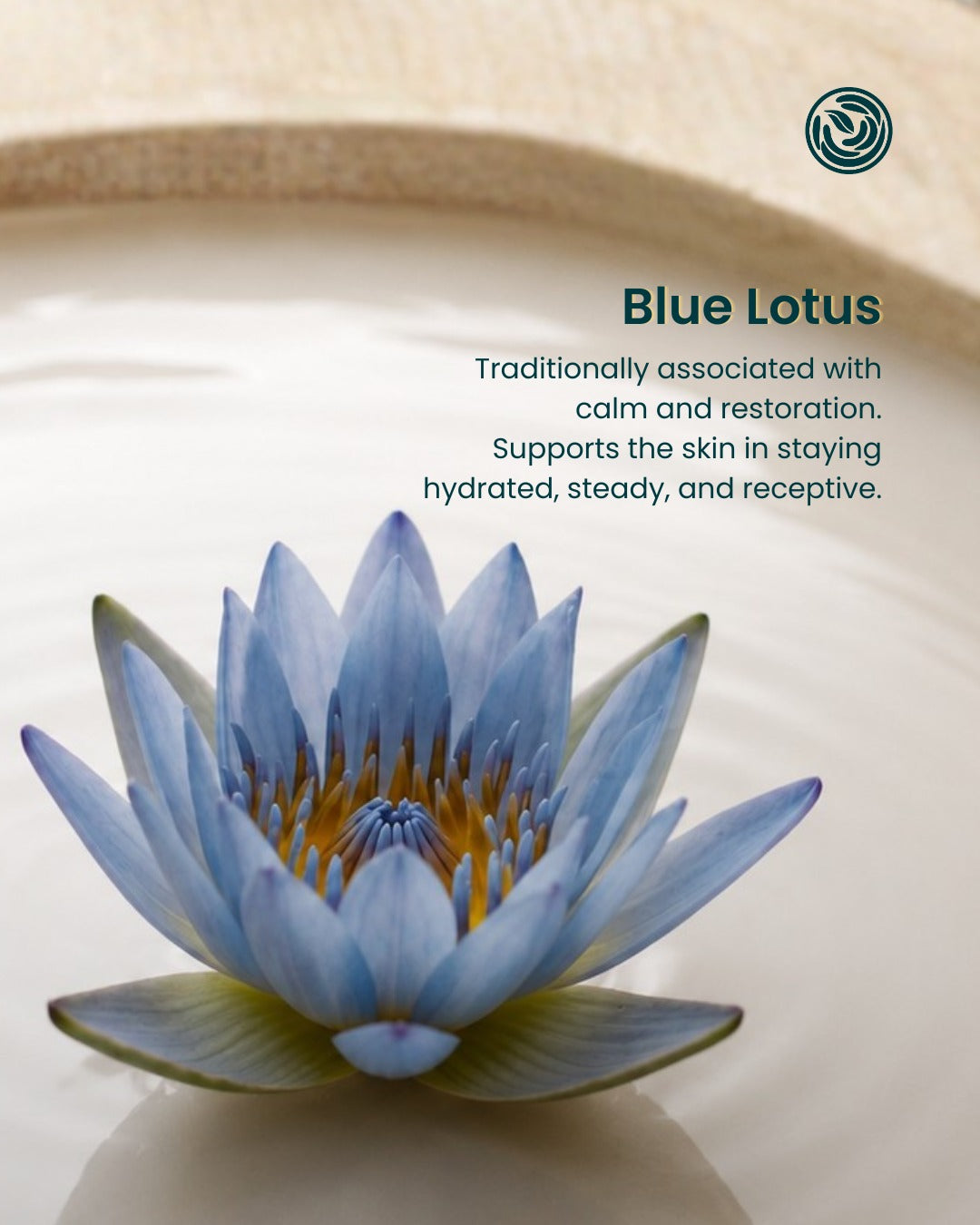 A blue lotus flower floating in calm water with text on the right reading 'Blue Lotus' and a small circular logo near the top right. The background is a warm beige spa-like setting.