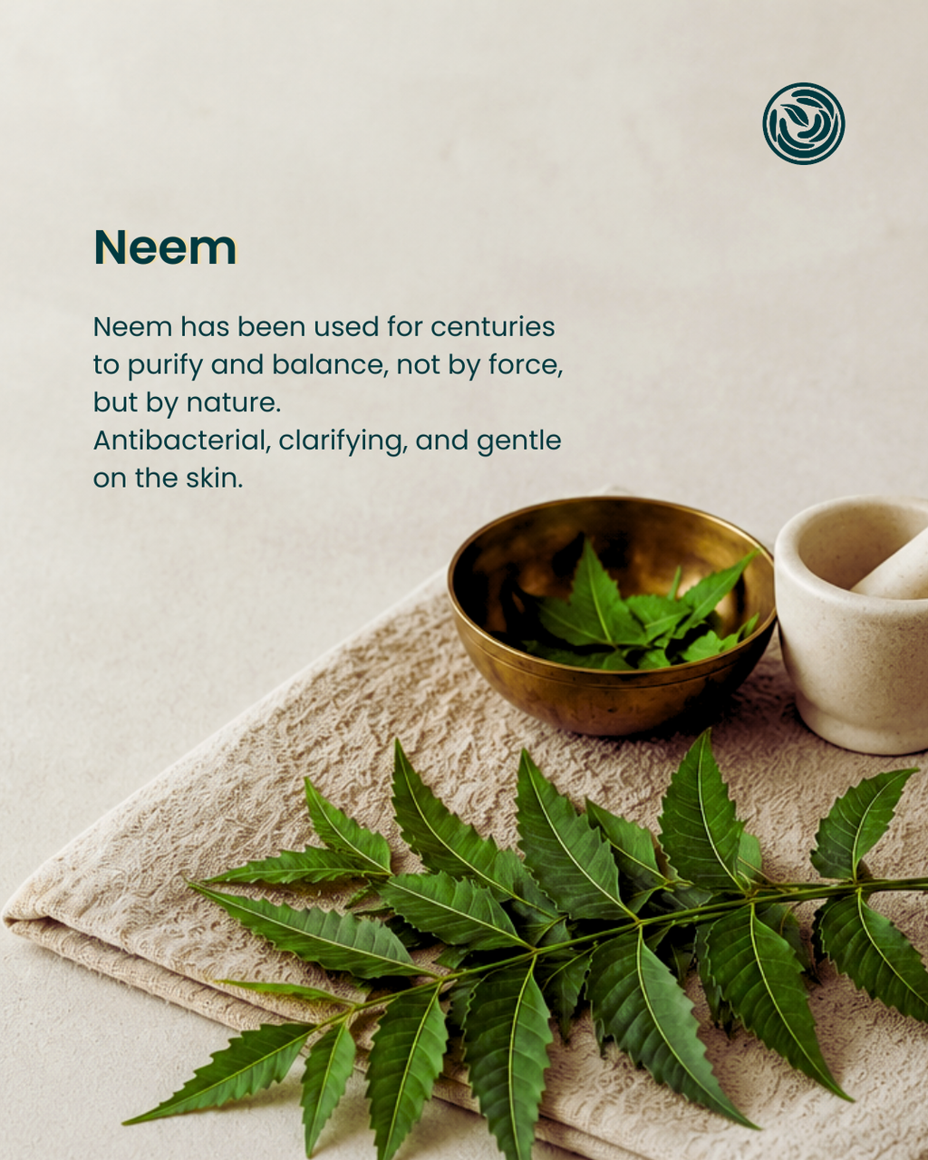 A styled product graphic for Neem featuring a sprig of green neem leaves, a small brass bowl filled with neem leaves, and a beige ceramic mortar and pestle on a folded beige towel. Dark teal text on the left reads 'Neem' followed by descriptive copy about its purifying and antibacterial properties.